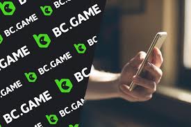 The Ultimate Guide to BC.Game Betting Platform
